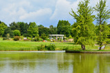 Green Scene by Ramad, photography->gardens gallery