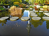 Garden Scene by Ramad, photography->gardens gallery