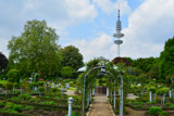 Garden Path by Ramad, photography->gardens gallery