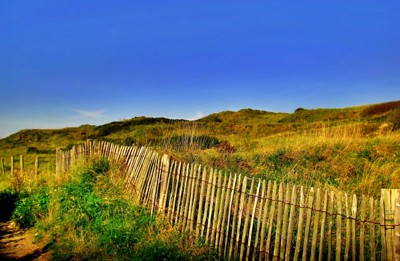 Click here to view at full resolution.