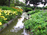 From The Bin by Ramad, photography->gardens gallery