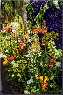 Click here to view at full resolution.