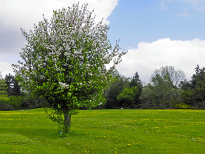 Click here to view at full resolution.