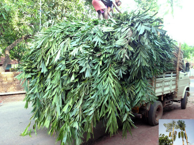 Click here to view at full resolution.