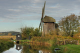 The Geese have landed by Paul_Gerritsen, Photography->mills gallery