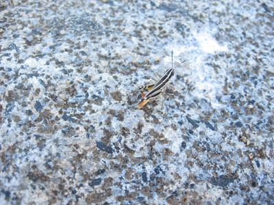 Click here to view at full resolution.