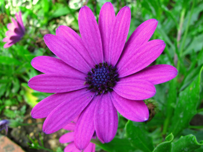 Click here to view at full resolution.