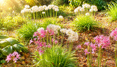 Click here to view at full resolution.