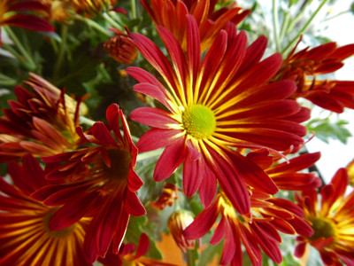 Click here to view at full resolution.