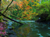 Creekside Colors by busybottle, photography->shorelines gallery