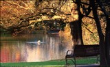 Winter In The Park - Take A Seat by LynEve, photography->landscape gallery