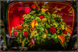 Gig Foofies 138 by corngrowth, photography->flowers gallery