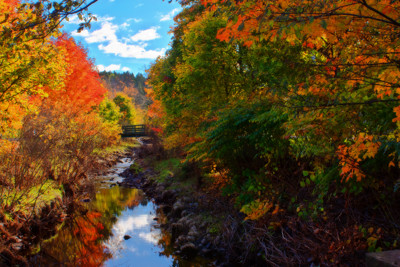 Click here to view at full resolution.