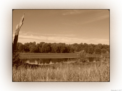 Click here to view at full resolution.