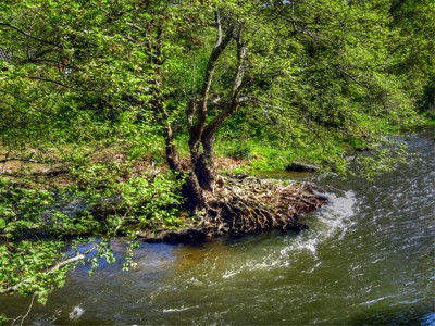 Click here to view at full resolution.