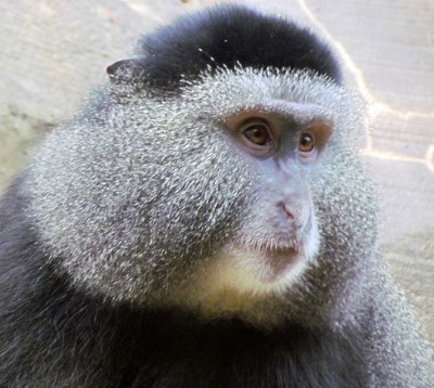 Click here to view at full resolution.