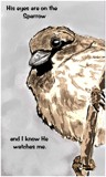 His Eyes Are On The Sparrow by bfrank, illustrations gallery