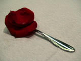 Spoon Full of Roses by shazam520, Photography->Flowers gallery