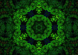 Forest Web by LynEve, photography->manipulation gallery