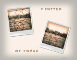 A Matter Of Focus by houstonaxl, Photography->Manipulation gallery