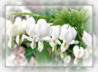 Click here to view at full resolution.