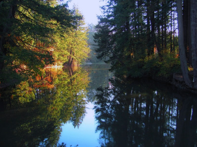 Click here to view at full resolution.