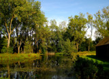 trees lake by gaeljet2, Photography->Landscape gallery