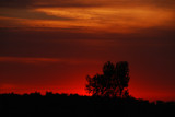 Blazin by vangoughs, Photography->Sunset/Rise gallery