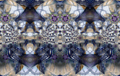 Click here to view at full resolution.