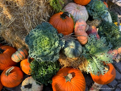 Click here to view at full resolution.