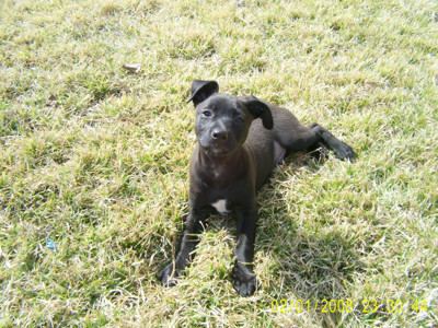 Click here to view at full resolution.