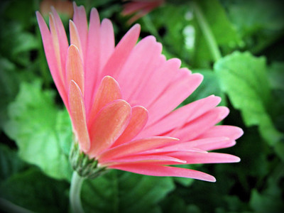 Click here to view at full resolution.