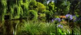 Fifty Shades Of Green by LynEve, photography->gardens gallery