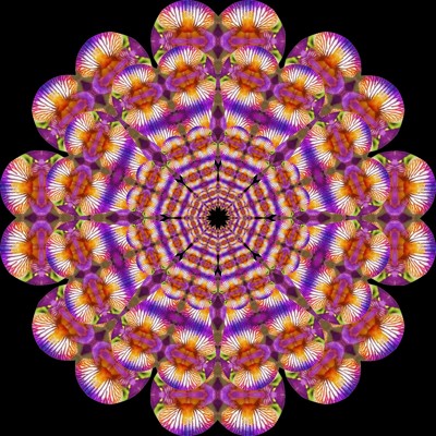 Click here to view at full resolution.