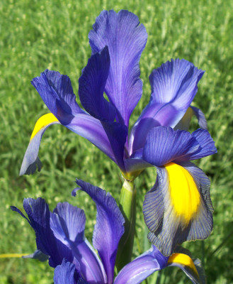Click here to view at full resolution.