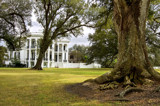 Nottaway Plantation- Backside by PatAndre, photography->architecture gallery