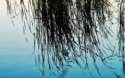 Click here to view at full resolution.