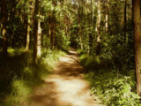 road by annie100, Photography->Landscape gallery