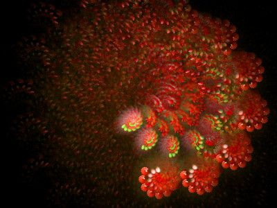 Click here to view at full resolution.