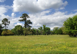 Spring Pasture For FALL Times by PatAndre, photography->landscape gallery