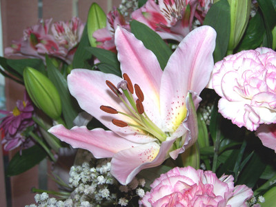 Click here to view at full resolution.