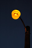 Shine a Light by aday, Photography->General gallery