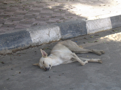 Click here to view at full resolution.