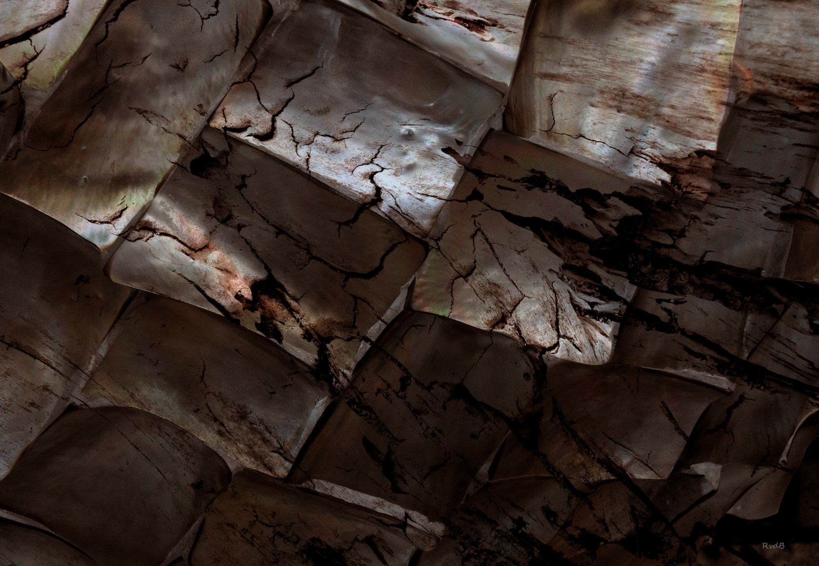 DT Wood by rvdb, photography->textures gallery