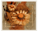 Sepia Bloom by Starglow, photography->flowers gallery