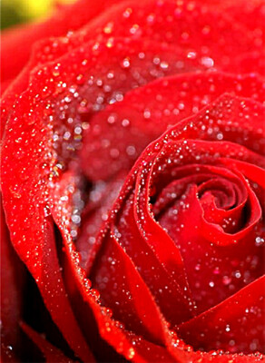 Click here to view at full resolution.