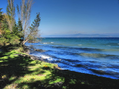 Click here to view at full resolution.