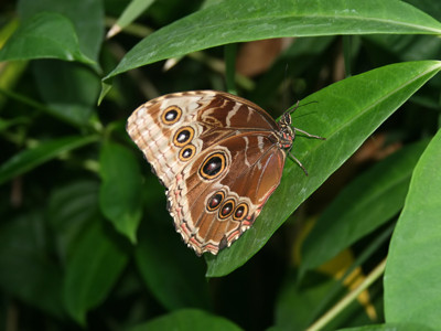 Click here to view at full resolution.