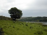 twilight in Goyt Valley by fogz, Photography->Landscape gallery