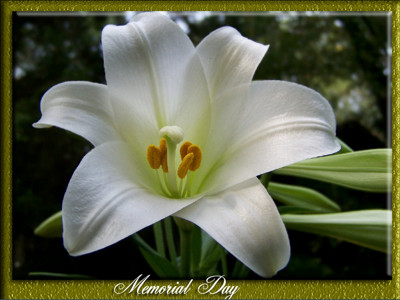 Click here to view at full resolution.